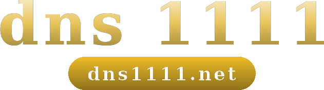 dns 1111 logo